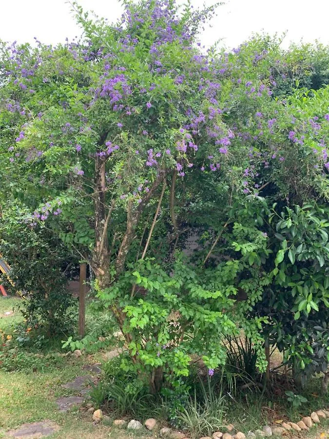 Lampiao Hostel Florianópolis