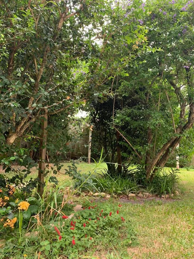Lampiao Hostel Florianopolis Brazil